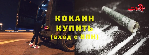 стаф Новодвинск