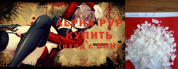 стаф Новодвинск