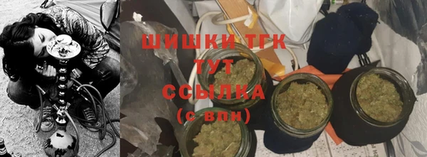 твердый Дегтярск