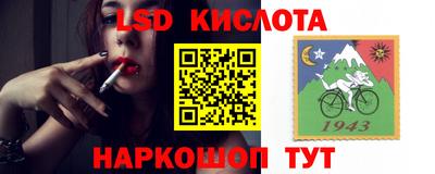 гидропоника Донской