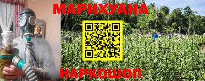 прущие грибы Будённовск