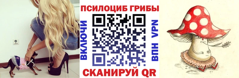 где купить наркоту  Кинель  Галлюциногенные грибы Cubensis 