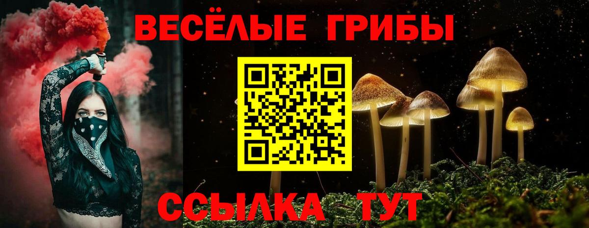 Галлюциногенные грибы мицелий Кинель
