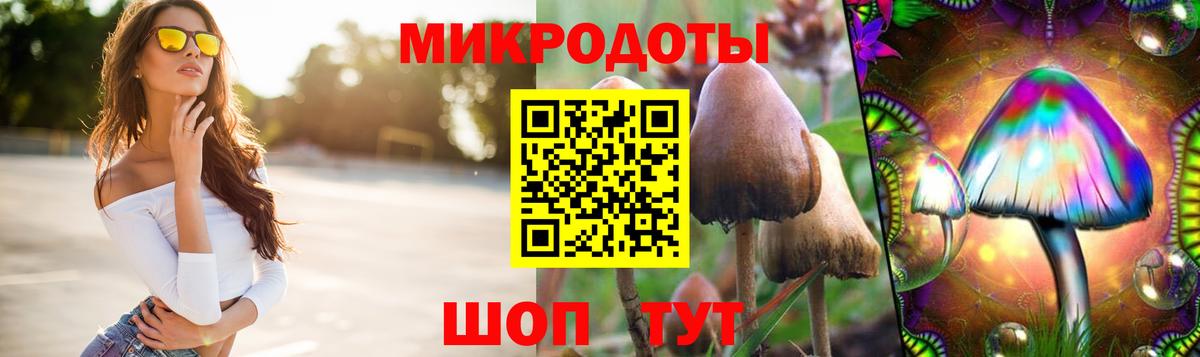 Кинель  Галлюциногенные грибы Magic Shrooms  наркошоп  Вход с VPN 